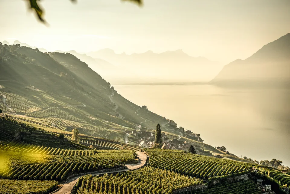 Photo by: Switzerland Tourism / Andre Meier