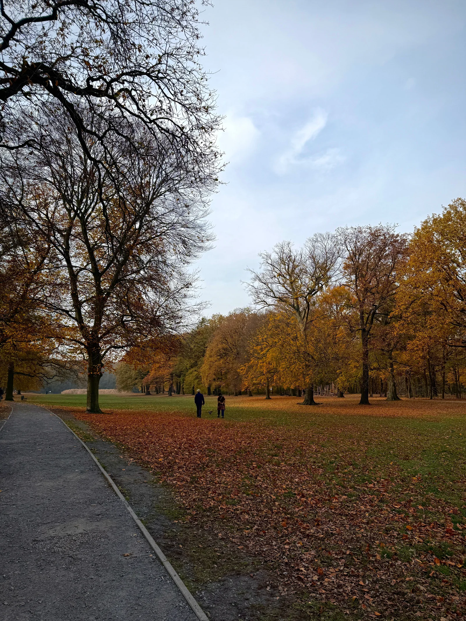 A peaceful autumn day in Berlin's Tiergarten Park showcases vibrant fall foliage and tranquil paths.