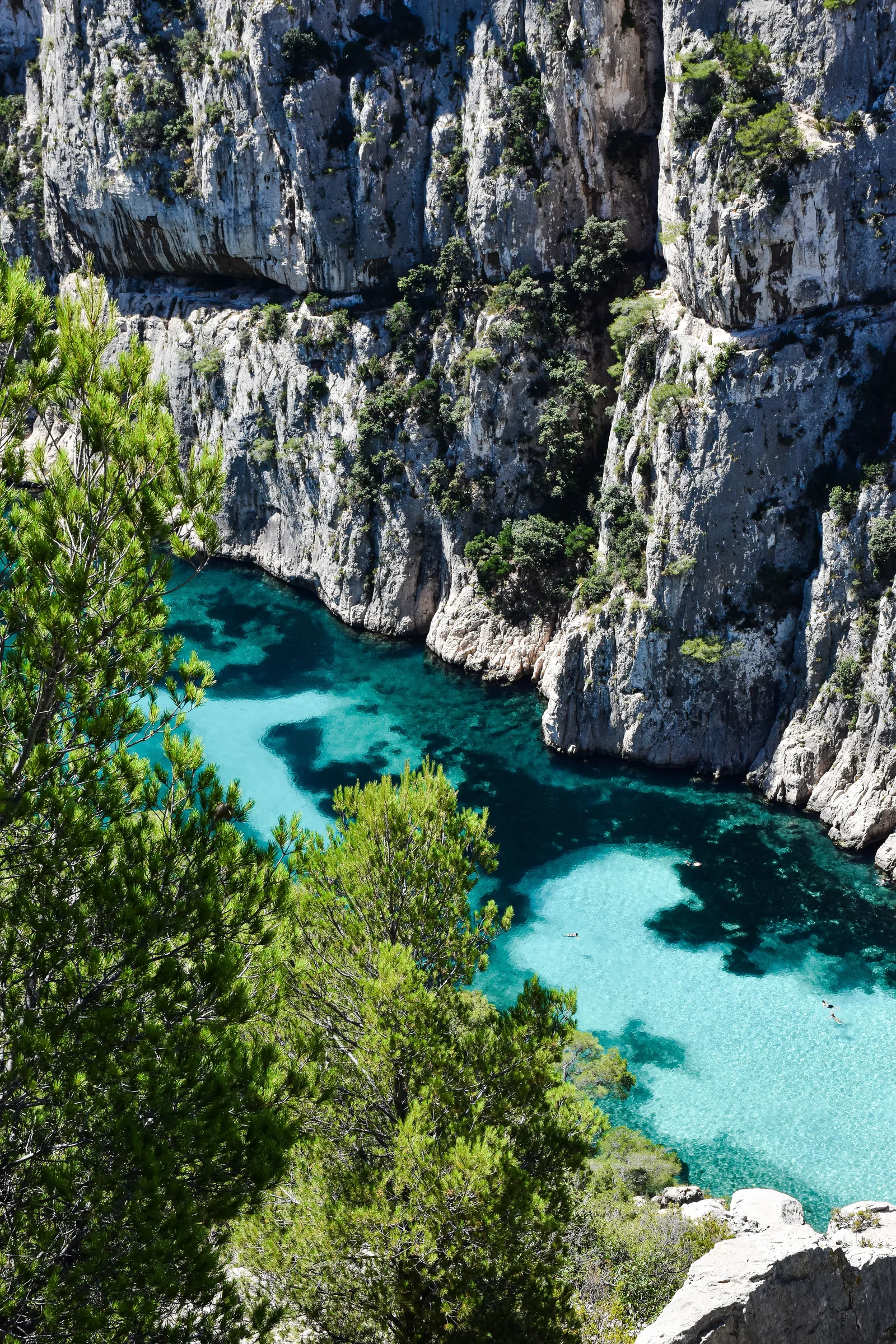 Experience the breathtaking turquoise waters of Calanque d'En-Vau in Provence.