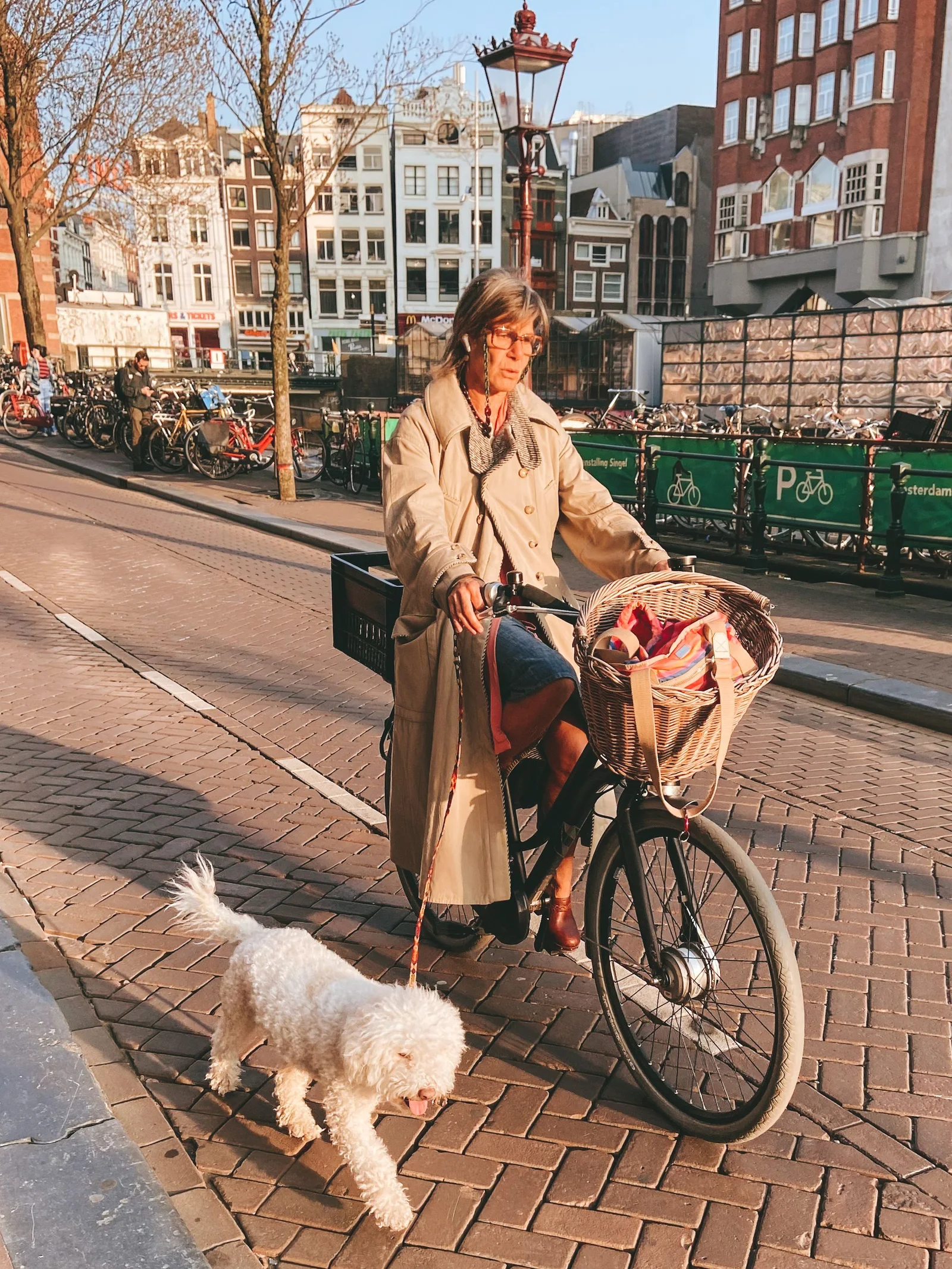 Woman rides bicycle with fluffy white dog in Amsterdam city street.