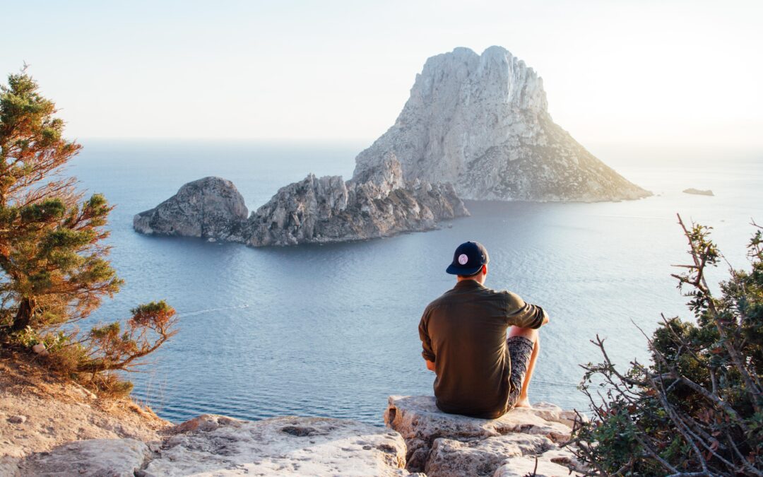 Rear view of man sitting on rock by sea